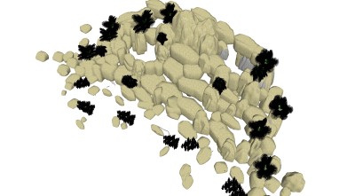 假山植物su模型下载、假山石头草图大师模型下载