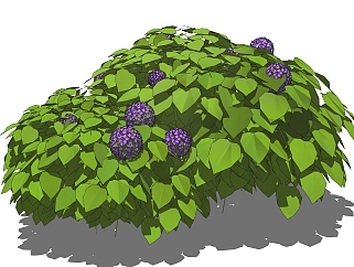 <em>八仙</em>花绿植sketchup模型，现代花卉植物skp文件下载