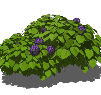 八仙花绿植sketchup模型，现代花卉植物skp文件下载