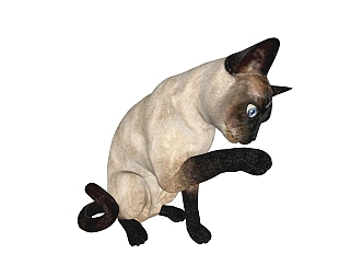 现代暹罗猫sketchup模型，<em>动物</em>草图大师模型下载