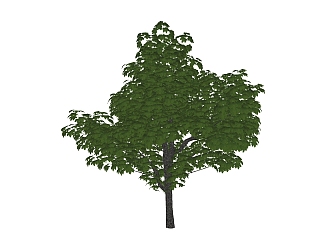 梧桐<em>树景观树</em>免费su模型下载、<em>景观树</em>草图大师模型下载