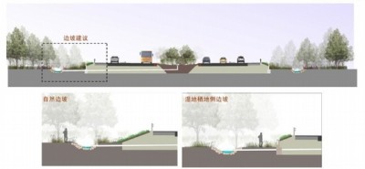 景观生态道路剖面图