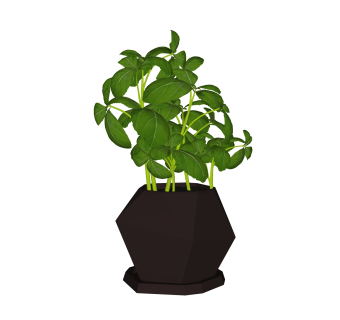 薄荷盆栽植物su模型，园艺花草sketchup模型下载