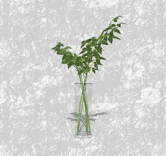 袖珍椰子插花草图大师模型，花瓶花艺sketchup模型下载