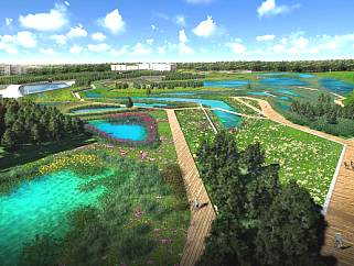  “湿地花海”公园景观设计方案