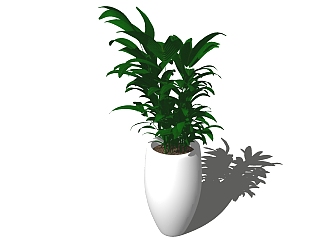 现代植物盆栽草图大师模型，棕竹sketchup模型下载