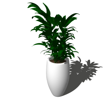 现代植物盆栽草图大师模型，棕竹sketchup模型下载