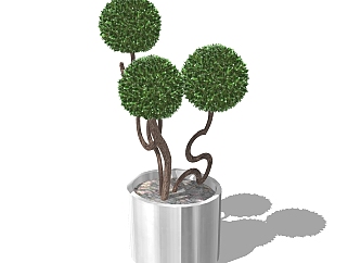 现代室内<em>植物</em>草图大师模型，室内<em>植物</em>SKP模型下载