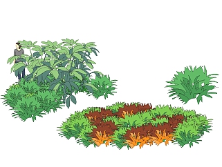 八爪金盘灌木丛sketchup模型，常绿灌木skp文件下载