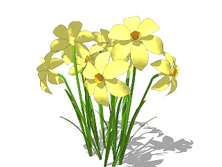 水仙绿植sketchup模型，现代观花植物skp文件下载