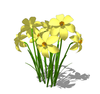 水仙绿植sketchup模型，现代观花植物skp文件下载