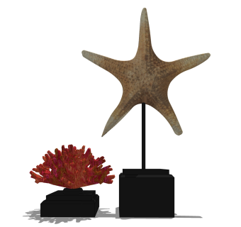 海星珊瑚摆件草图大师模型,现代装饰品su模型下载