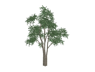 榉树景观<em>树</em>免费<em>su模型</em>下载、景观<em>树</em>草图大师模型下载