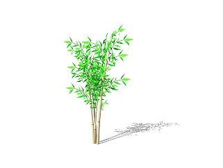 现代竹子草图大师模型下载，竹子su模型免费下载