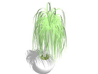 龙血树盆栽草图大师模型，手绘绿植sketchup模型下载