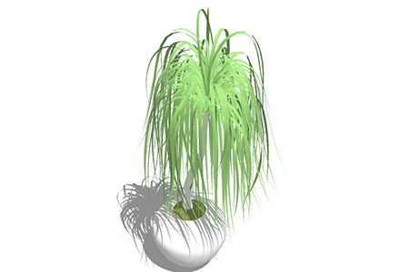 龙血树盆栽草图大师模型，手绘绿植sketchup模型下载